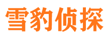 潘集外遇出轨调查取证